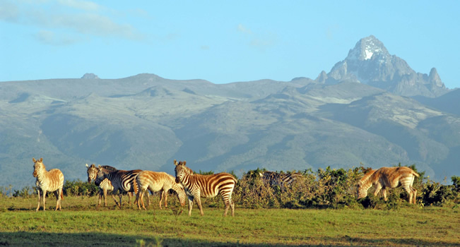 Mt Kenya national wildlife park image