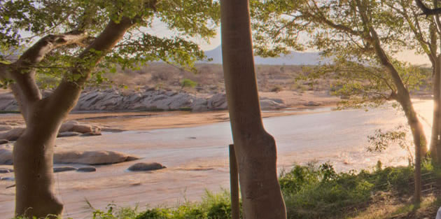 Sarova shaba background image